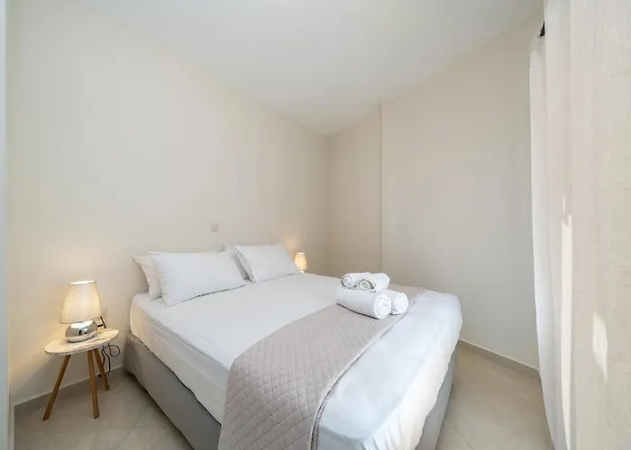 Vibes 6 ארגוסטולי